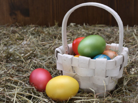 chasse-aux-oeufs