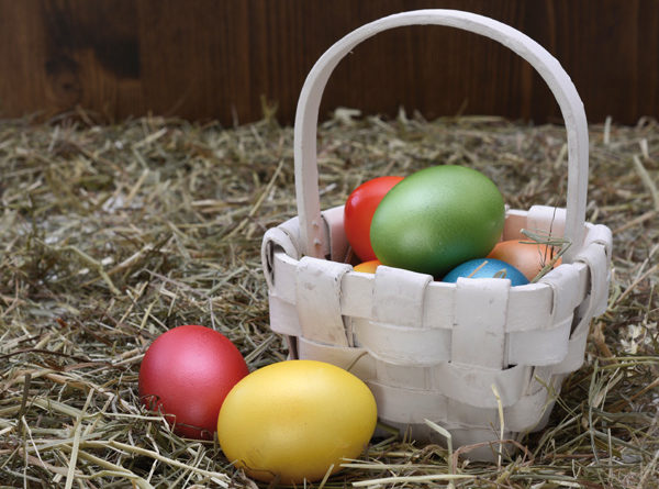 chasse-aux-oeufs